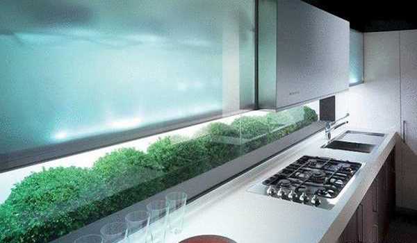 glass wall panels and nature inspired prints Decorate Your Kitchen