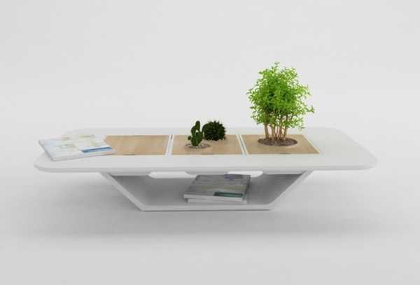 soffee table with small indoor plants