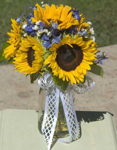 Sunflower seed idea