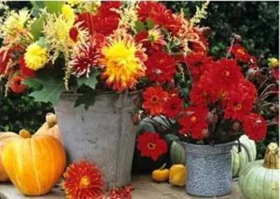 fall flowers in tin buckets