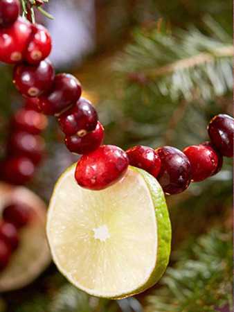 handmade Christmas ornaments created with fruits and berries