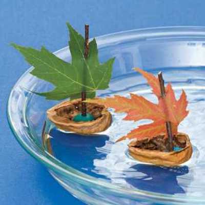 Maple leaves and nut shells for producing floating Tafelaufsatz