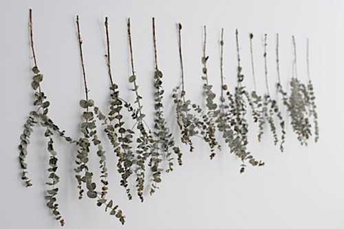 wall decoration with dry leaves
