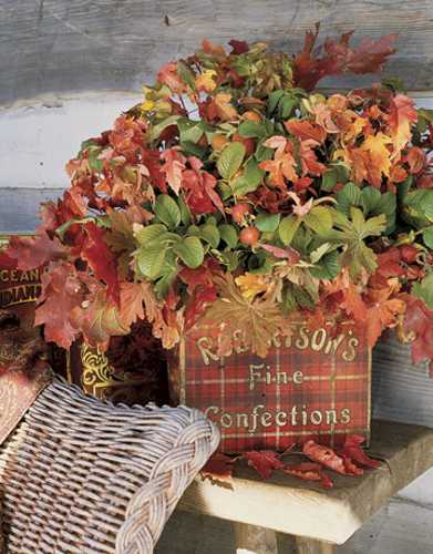 Fall Leaves for Thanksgiving table decoration