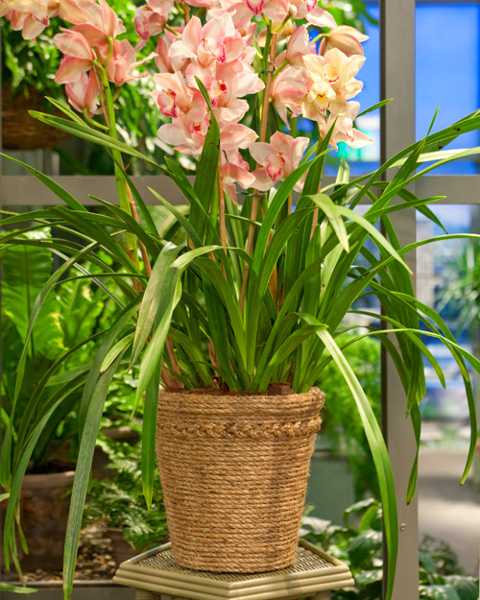  jute rope for decoration planters 