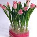 tulip flower arrangement