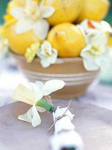 lemons and flowers for the spring decoration