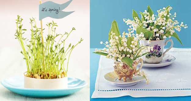 Crative Table Centerpiece Ideas Crative Table Centerpiece Ideas
