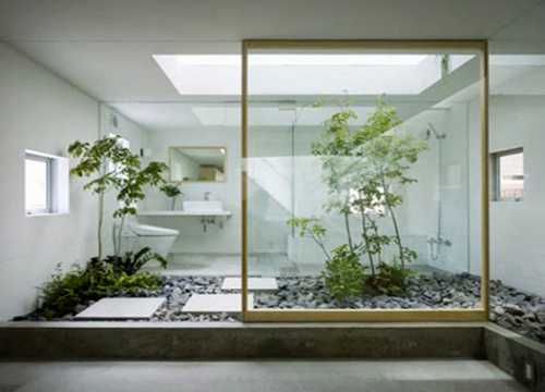 modern bathroom with a small garden and glass wall