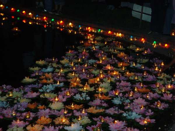 colorful floating lights