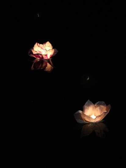 white flower floating lights
