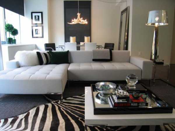 living room decor with zebra carpet