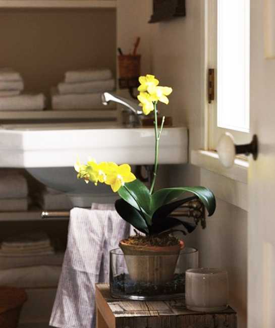 yellow flower on white Bathroom Decorating
