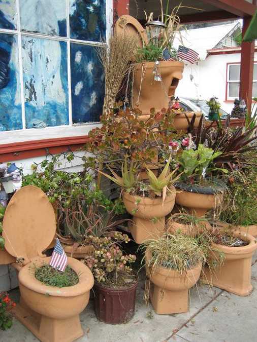 toilet pots for plants and flowers