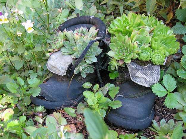 recycling boots for plant pots