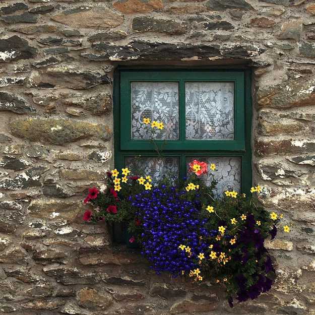 Window Decorating with Flowers