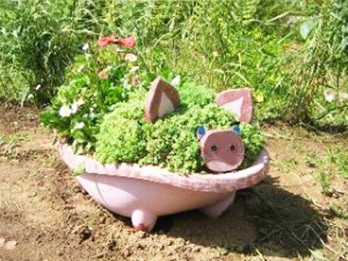 swine flowerpot
