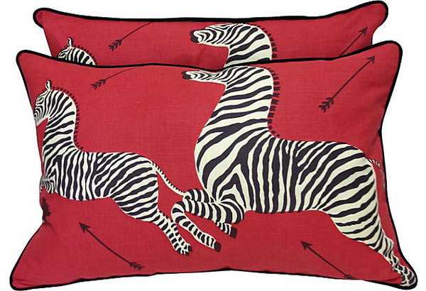 red cushion Zebra pictures with