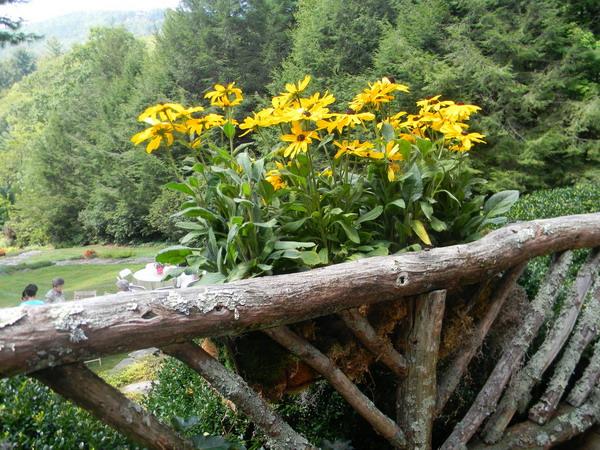 rustic wood and logs porch decoration