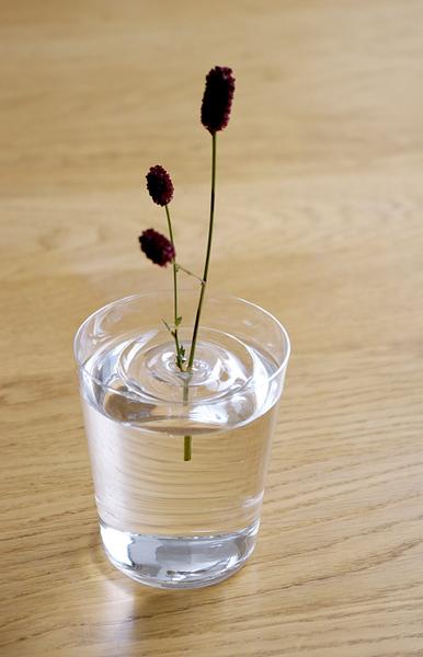  floating flower centerpieces and floral arrangements 