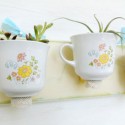 wall planters made with tea cups