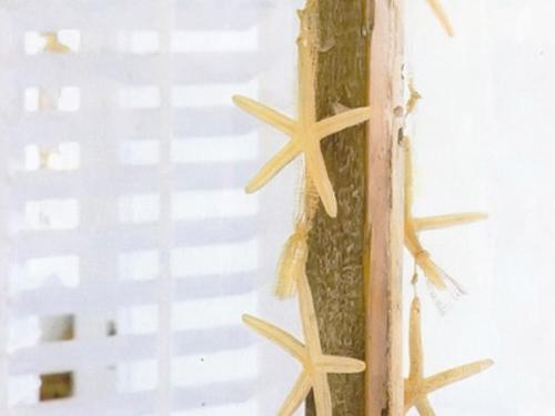 white blue color combination and nautical decor theme