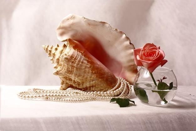 white blue color combination and nautical decor theme