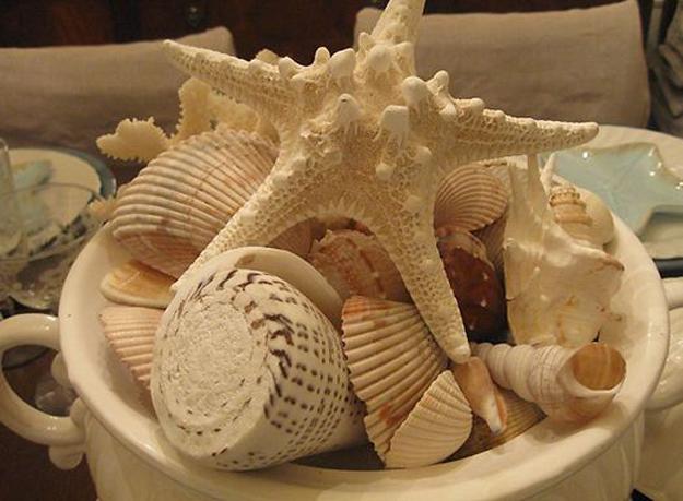  Shell table centerpiece ideas and sea shell handicrafts 