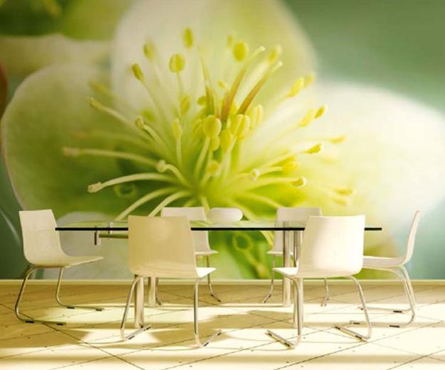 contemporary interior design ideas and home furnishings