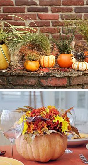 falling, ideas for table decoration with pumpkin and flowers