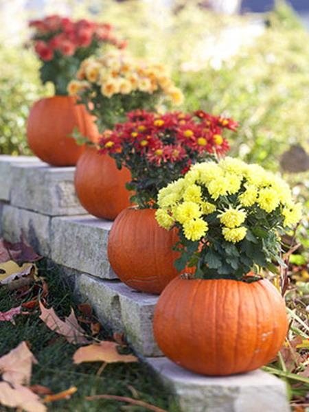 falling, ideas for table decoration with pumpkin and flowers