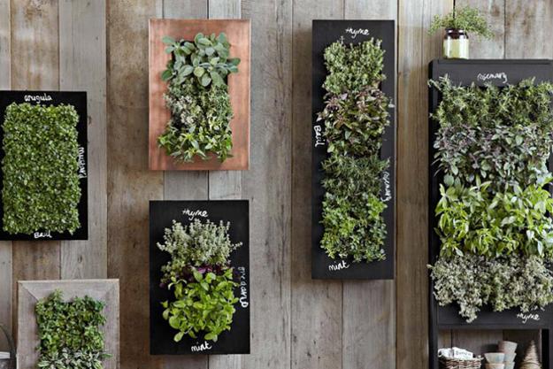 chalkboard wall planters for vertical garden designs chalkboard wall planters for vertical garden designs