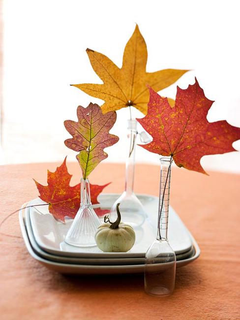 easily making autumn decoration, table decorations and waste Craft