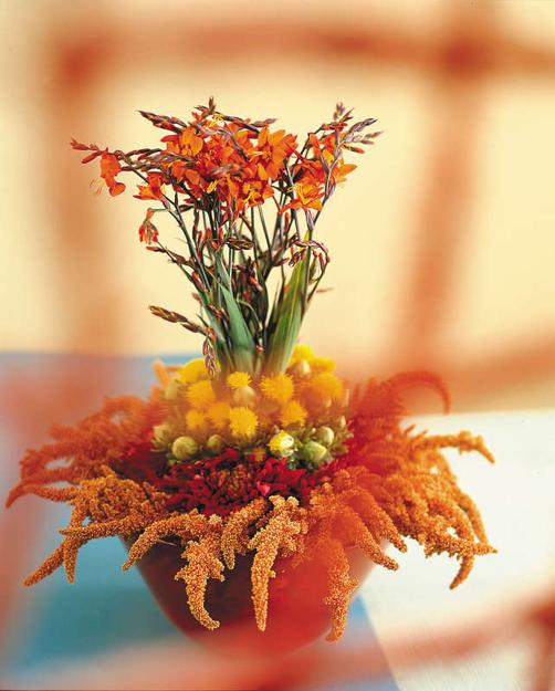 fall, floral arrangements and table decorations Thanks