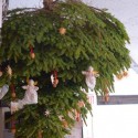 hanging christmas tree decorating ideas in german style