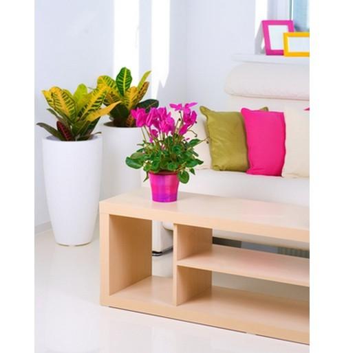  pink room colors and interior color schemes for home decoration 