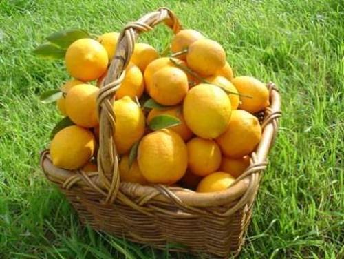 table decorations and centerpieces with lemon, yellow and green color combination