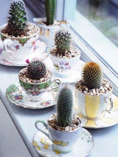 cacti and handmade home decorations inspired by cactus