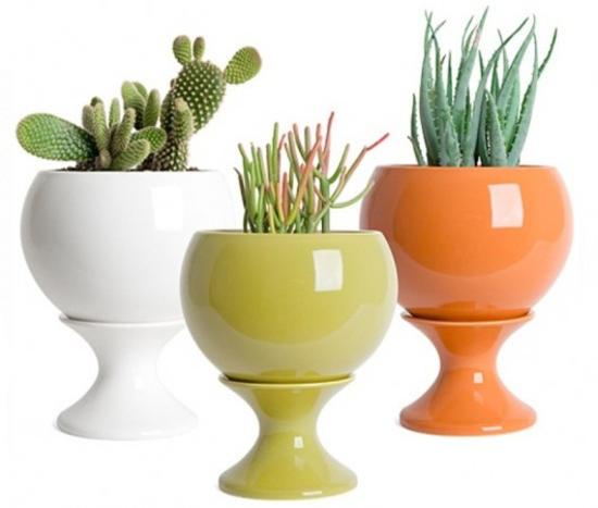 cacti and handmade home decorations inspired by cactus