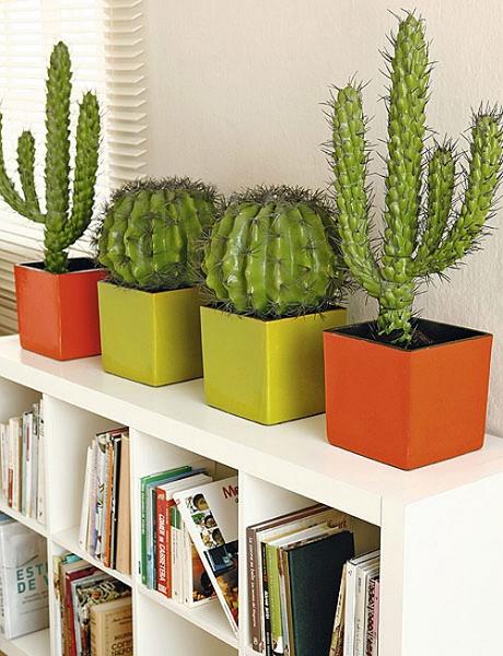 cacti and handmade home decorations inspired by cactus