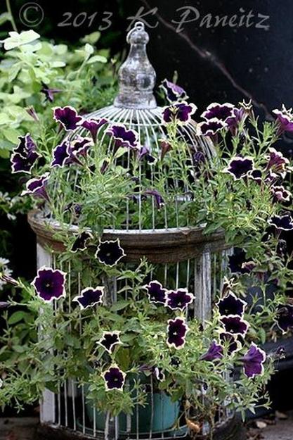 Unique Vintage Decor with Beautiful Flower Arrangements and Birdcages