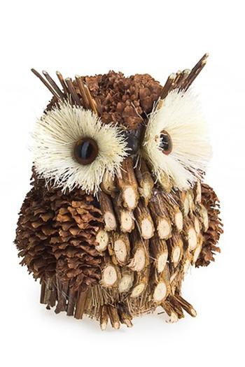  owl theme. decorations and gift ideas 