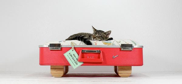 Recycling of old suitcases for home furnishings in vintage style