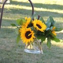 Summer Sunflowers for summer decoration