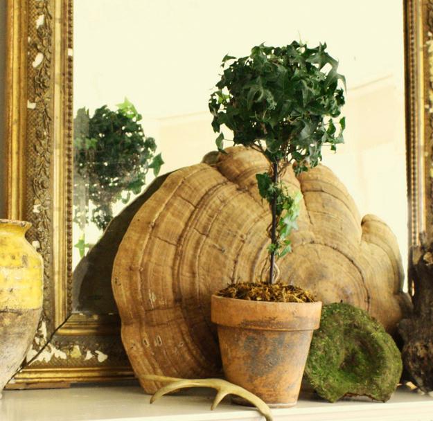 interior decoration with topiary designs